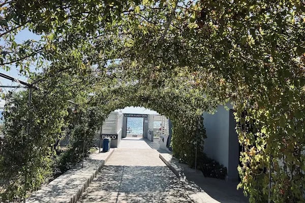 Antalya Büyük Şehir Belediyesi Toptancı Hal Müdürlüğü - Resim 10