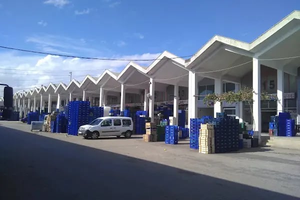 Antalya Büyük Şehir Belediyesi Toptancı Hal Müdürlüğü - Resim 9