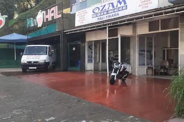 Ozam Halı Yıkama - Resim 20