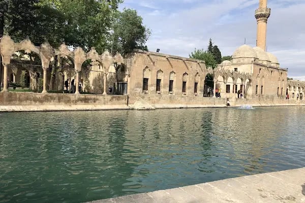 Cizgi rent a car Gaziantep - Resim 8