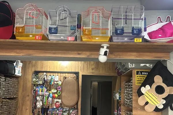 Balım Pet Market - Resim 6
