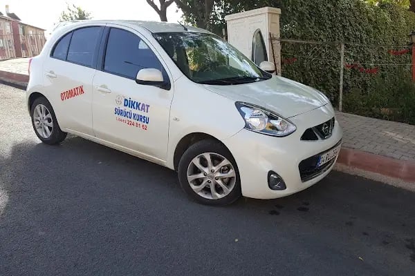 Diyarbakır Direksiyon Dersi - Bay ve Bayandan Özel Direksiyon Dersi - Resim 4