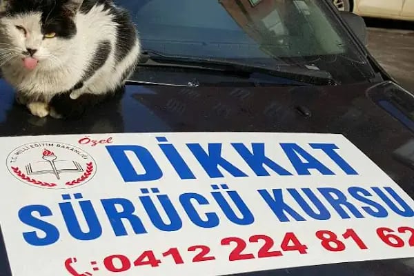 Diyarbakır Direksiyon Dersi - Bay ve Bayandan Özel Direksiyon Dersi - Resim 5