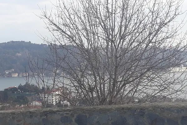 Arnavutköy Parkı - Resim 6