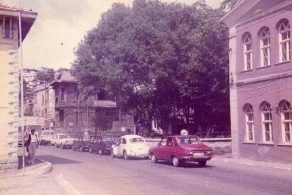 Arnavutköy Parkı - Resim 10