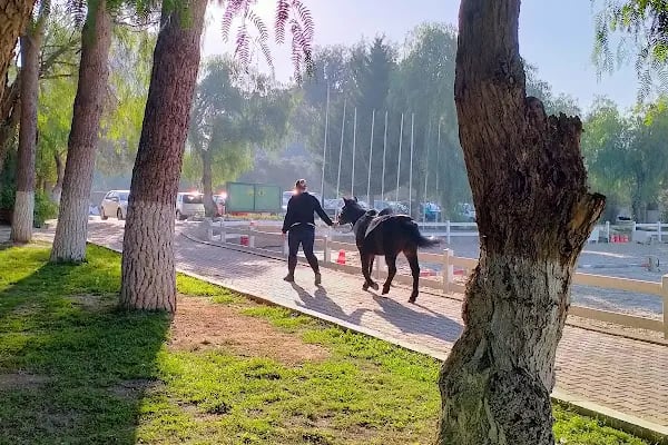 İzmir Atlı Spor ve İhtisas Kulübü - Resim 13