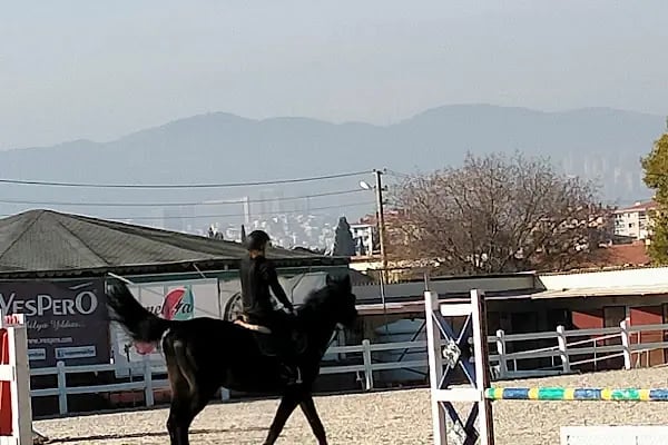 İzmir Atlı Spor ve İhtisas Kulübü - Resim 4