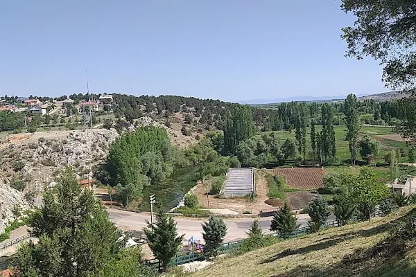 Adaköy Balık Restaurant - Resim 14