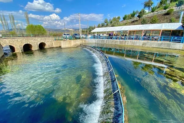 Adaköy Balık Restaurant - Resim 8