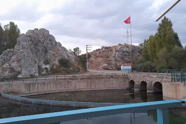 Adaköy Balık Restaurant - Resim 10