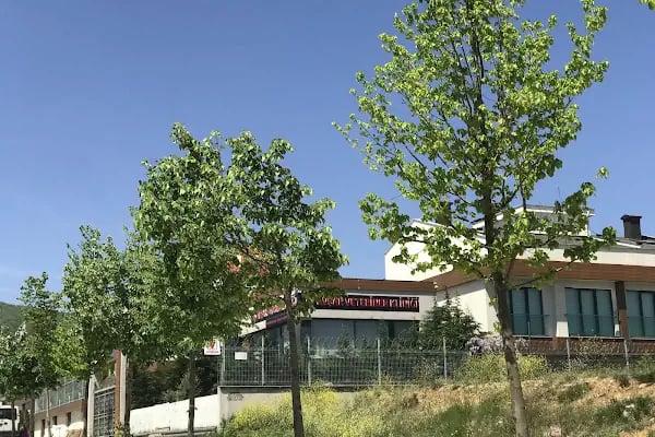Avşar Veteriner Kliniği - Resim 2