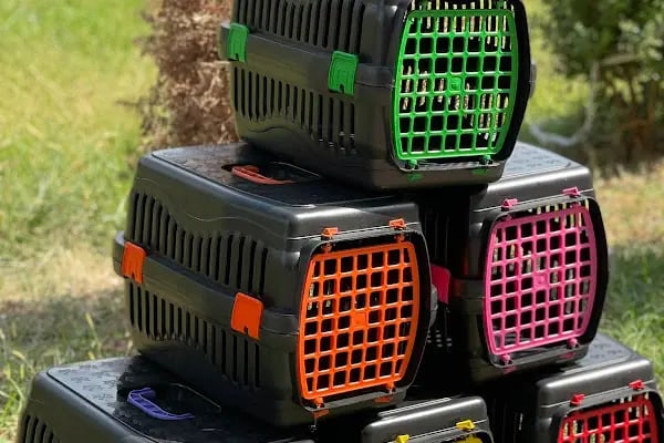 PATİ HOUSE PETSHOP - Resim 8