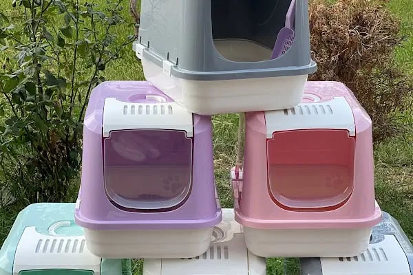 PATİ HOUSE PETSHOP - Resim 18