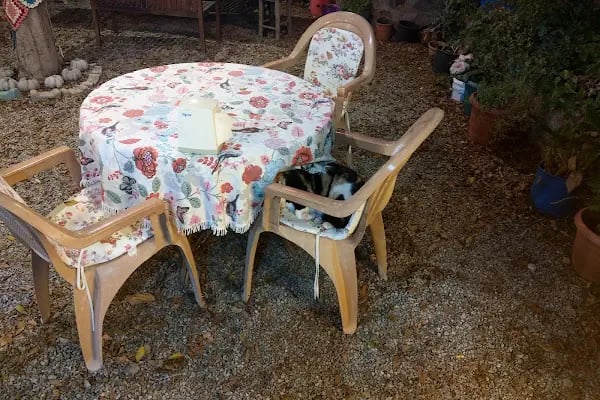 OUR GARDEN RESTAURANT - Resim 11