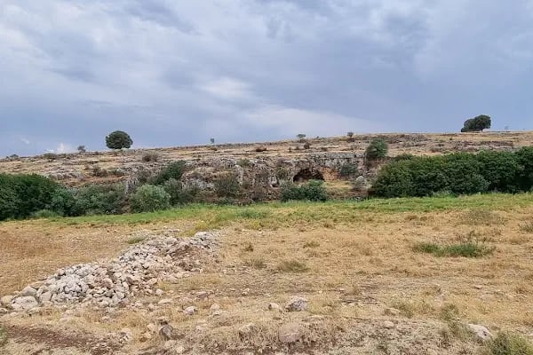 Yarımca balıklı göl - Resim 17