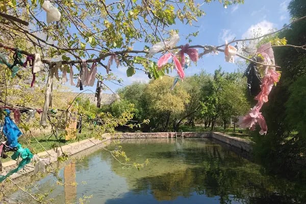 Yarımca balıklı göl - Resim 5