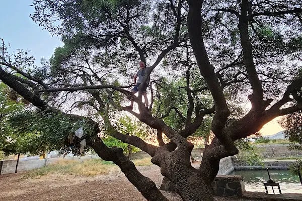 Yarımca balıklı göl - Resim 11