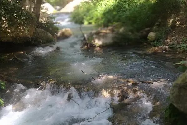 Yarımca balıklı göl - Resim 18