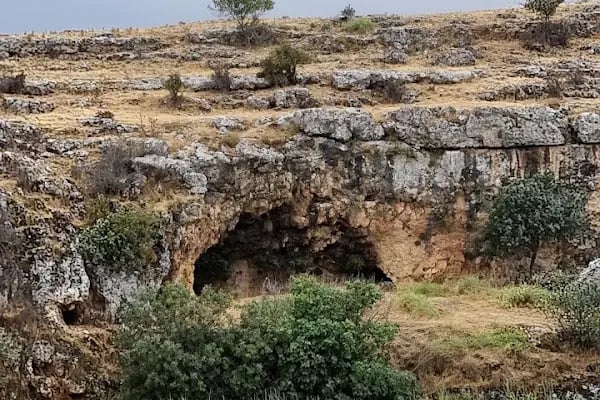 Yarımca balıklı göl - Resim 3
