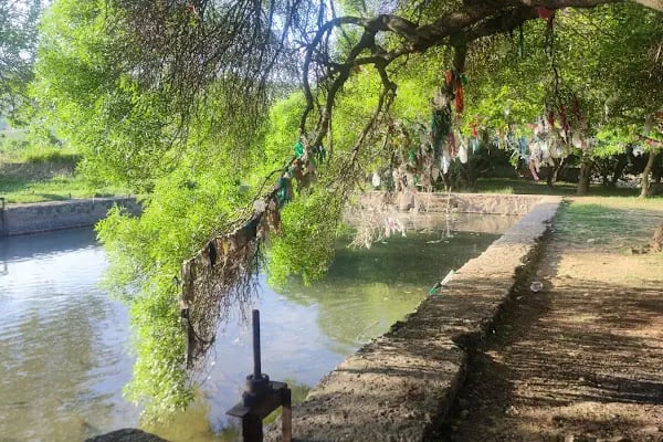 Yarımca balıklı göl - Resim 6