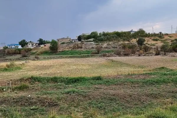 Yarımca balıklı göl - Resim 4