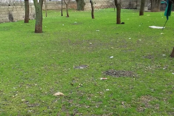 Yarımca balıklı göl - Resim 7