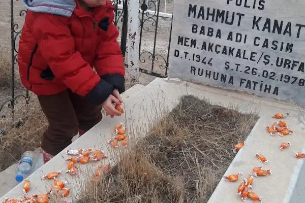 Şan Gıda - Resim 2