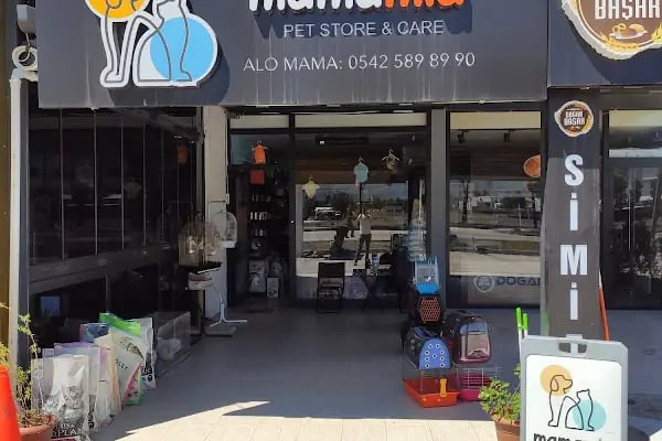 Mamamia Pet Market - Pet Kuaför - Resim 5