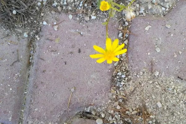Konya Teknik Üniversitesi. Mühendislik ve Doğa Bilimleri Fakültesi - Resim 13