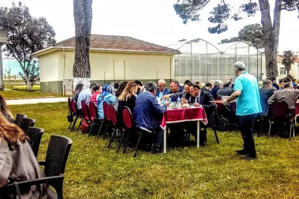 Akçaabat ihlas köfte - Resim 17