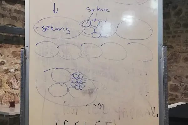 Eser Fotoğraf &amp; Gelin Tasarım Stüdyosu - Resim 10