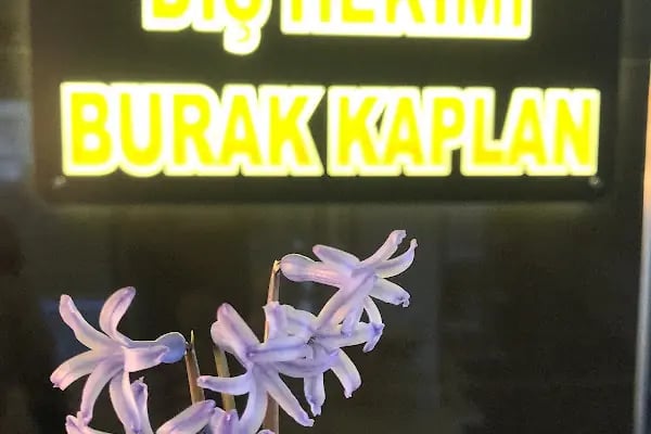 Özel Bucak Ağız Ve Diş Sağlığı Polikliniği Hizmetleri Limited Şirketi - Resim 18