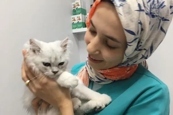 Sakarya Vetipati Veteriner Kliniği - Resim 7
