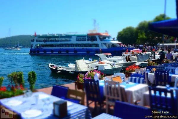 Madam Sofia Cafe & Bar - Resim 14
