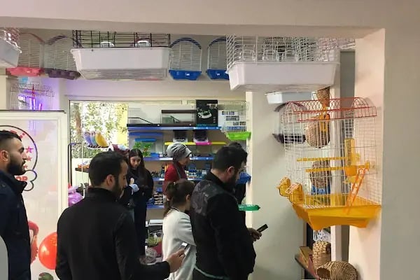 Kubi petshop - Resim 17