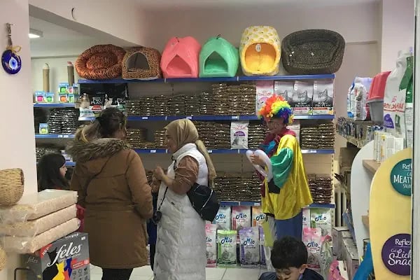Kubi petshop - Resim 14