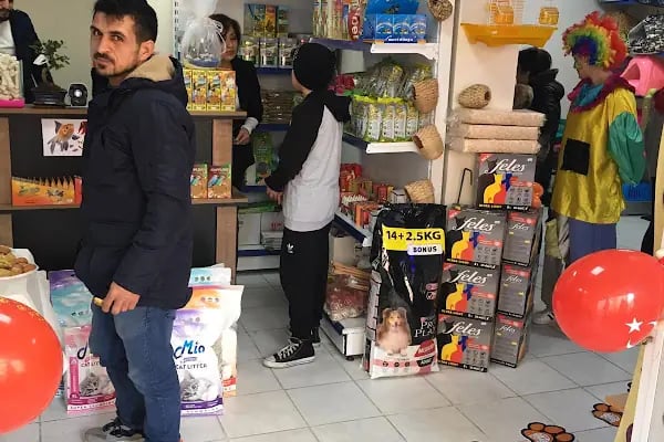 Kubi petshop - Resim 15