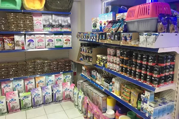Kubi petshop - Resim 6