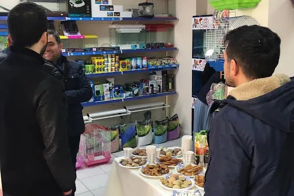 Kubi petshop - Resim 16