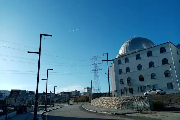 Veysel Karani Cami - Resim 2