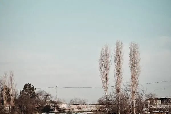 Eski Şamlar Köyü Cami - Resim 17