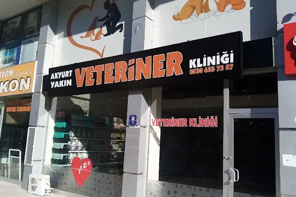 AKYURT YAKIN VETERİNER KLİNİĞİ -ANKARA AKYURT VETERİNER KLİNİĞİ - Resim 20