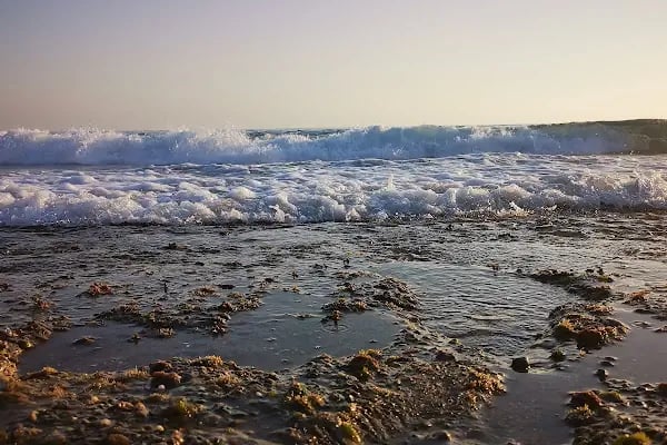 Alanya Milli Egemenlik Stadı - Resim 11