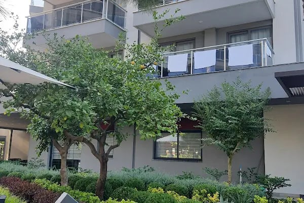 Alanya Milli Egemenlik Stadı - Resim 15