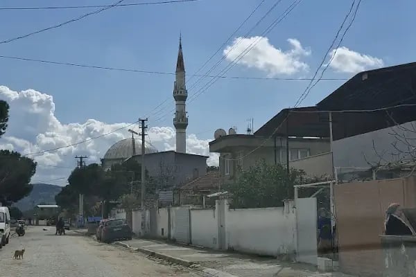 Fevzipaşa Cami - Resim 8