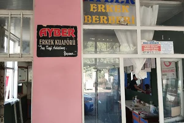 Ayber erkek berberi - Resim 6