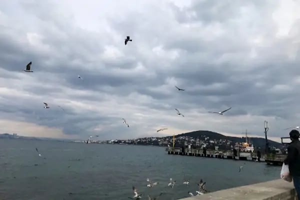 Heybeliada Vapur İskelesi - Resim 17