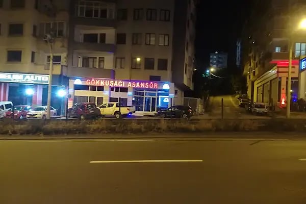 Güneş Mühendislik-Gökkuşağı Asansör - Resim 2