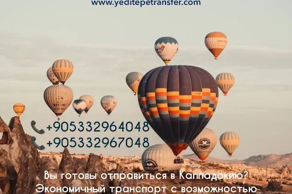 Yeditepe Transfer - Resim 10