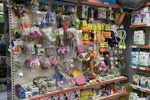 LAYKA PETSHOP - Resim 3